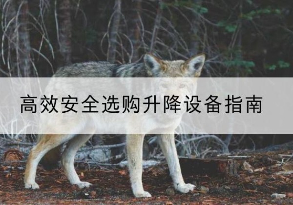 石家庄升降货梯厂家推荐-*安全选购升降设备指南