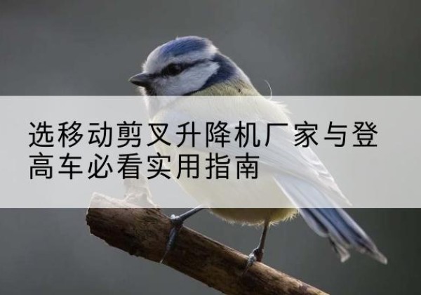 石家庄电动升降机厂家-选移动剪叉升降机厂家与登高车必看实用指南